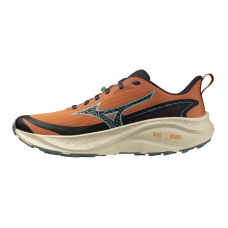 Чоловічі трейлові кросівки Mizuno NEO LUMINA (J1GJ267303)