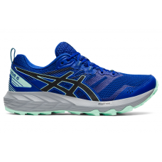 Жіночі кросівки для бігу ASICS GEL-SONOMA 6 (1012A922-407)
